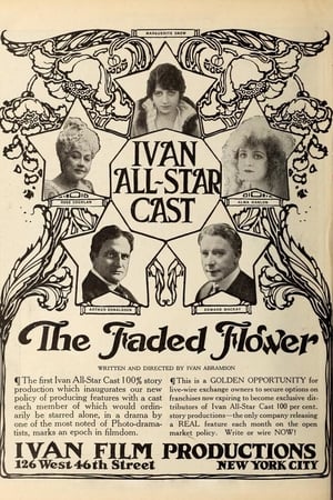 Poster The Faded Flower (1916)