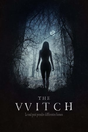 Poster The Witch 2016