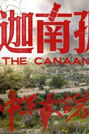 中东大宝荐 - Season 2