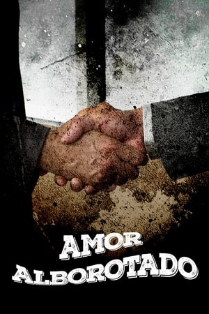 Poster Amor alborotado (2012)
