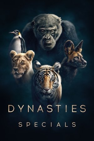 Épisodes spéciaux