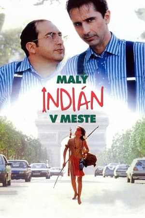 Malý indián v meste (1994)