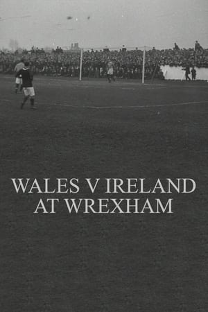 Wales v. Ireland at Wrexham