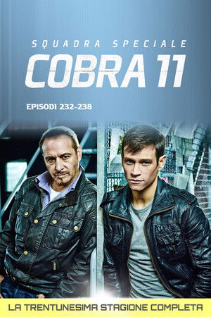 Squadra Speciale Cobra 11: Stagione 31