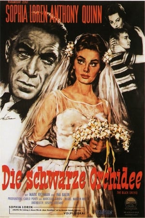 Poster Die schwarze Orchidee 1959