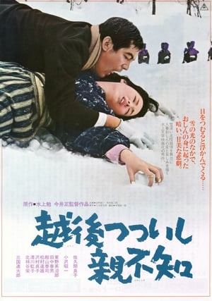 Poster 越後つついし親不知 1964