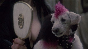 Elvira: Mistress of the Dark movie still 102