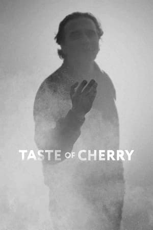 Image Taste of Cherry