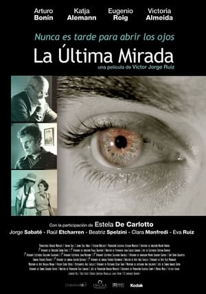 Poster La última mirada 2011