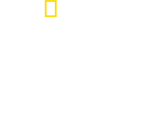 Tucci en Italia — Logos 5