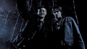 Images posters