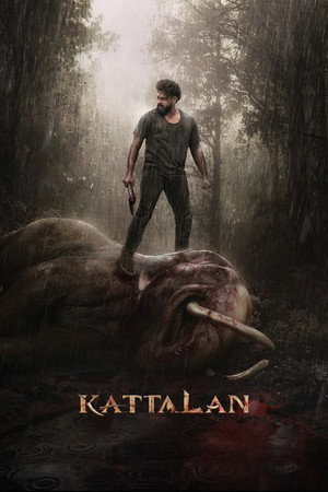 Kattalan 13
