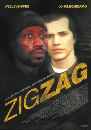 Poster Zig Zag 2002