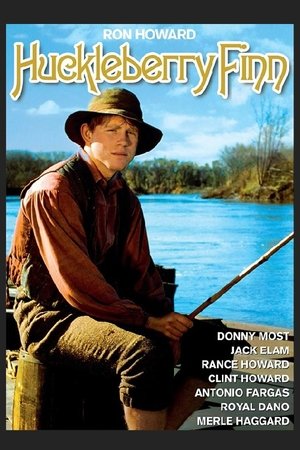 Huckleberry Finn poster