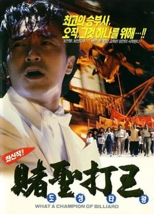 Poster 도성타왕 1991