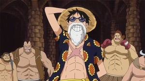 S17E697 En plein dans le mille. Le sauveur de Dressrosa