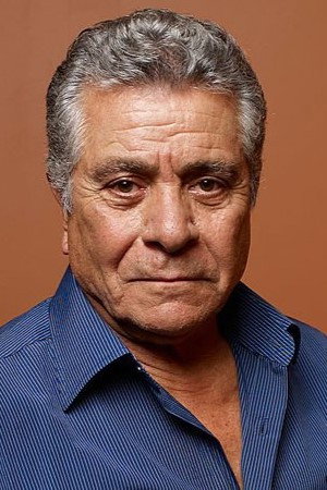 Behrouz Vossoughi portrait