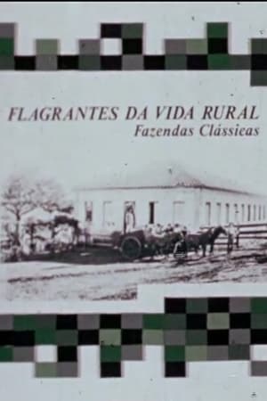 Poster Flagrantes da vida rural: Fazendas Clássicas (1977)