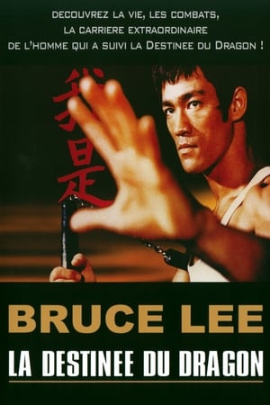 Poster Bruce Lee - La Destinée du Dragon (2004)