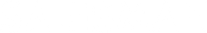Salesman