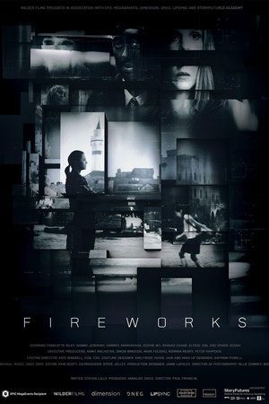 Poster Fireworks 2022