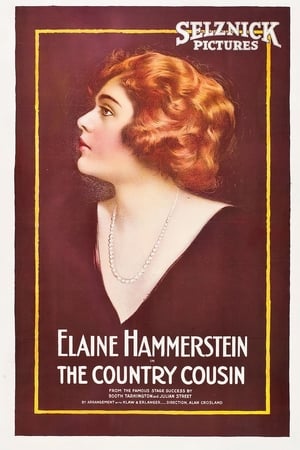 Poster The Country Cousin (1919)