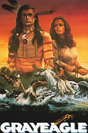 Poster Šedý orel 1977