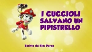 Paw Patrol 1×20