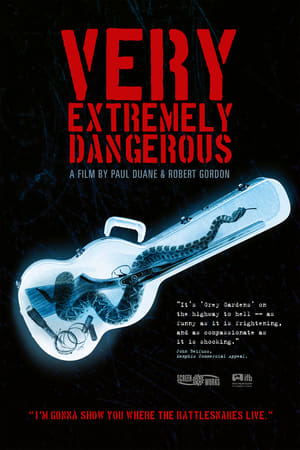 Poster Very Extremely Dangerous 2013