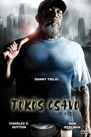 Poster Tökös csávó 2012