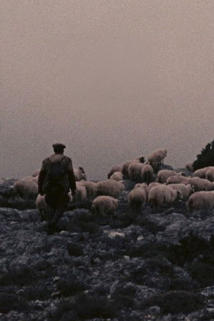 Orgosolo’s Shepherds