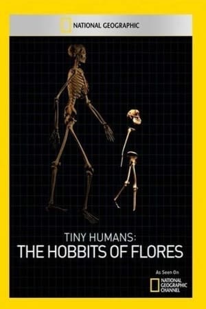 Poster Tiny Humans: The Hobbit of Flores (2010)