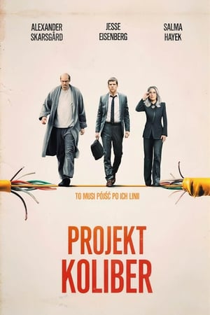 Poster Projekt Koliber 2019