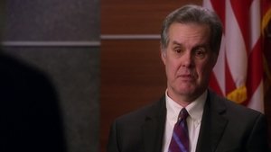 The Good Wife: 3×16