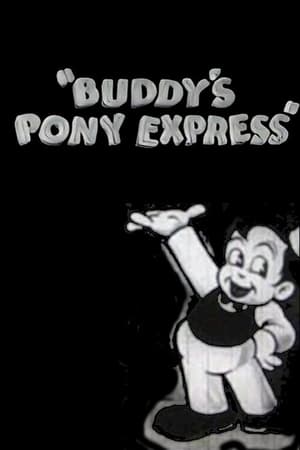 Image Buddy's Pony Express