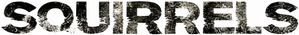 Squirrels