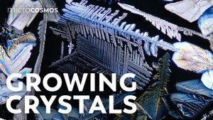 We Accidentally Grew Crystals still