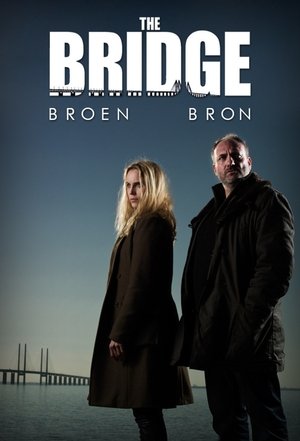 Poster The Bridge Saison 3 Épisode 8 2015