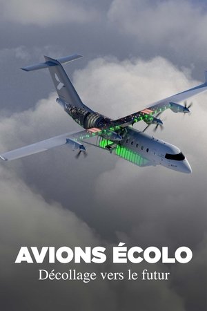 Image Avions écolo, décollage vers le futur