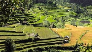 Tropenparadies Bali - Eine Perle Indonesiens film complet