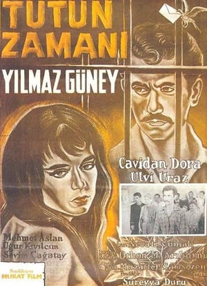 Poster Tütün Zamanı (1959)