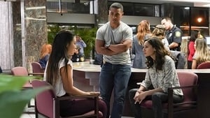 Hawaii 5.0: s9 e17 PL