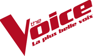 The Voice : La Plus Belle Voix