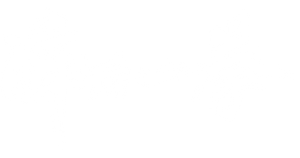 醉后一拳 — Logos 2