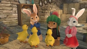 Peter Rabbit The Tale of the Missing Ducklings