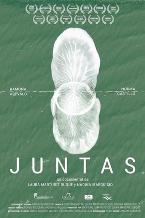 Poster Juntas (2017)