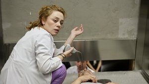 Episode 29