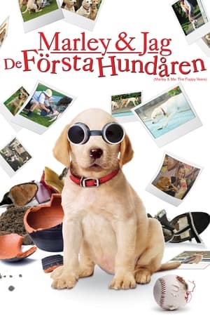 Poster Marley & jag - De första hundåren 2011