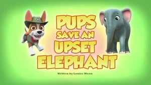 Image Pups Save an Upset Elephant