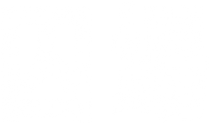Avlu: El patio — Logos 9
